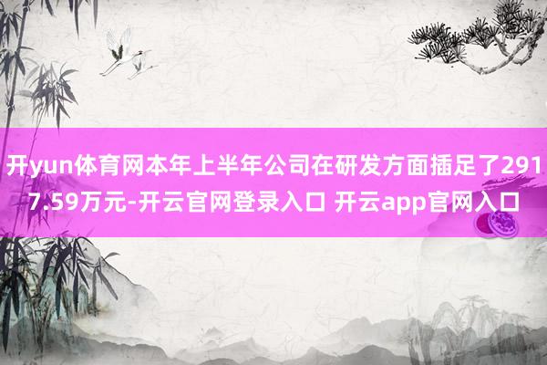 开yun体育网本年上半年公司在研发方面插足了2917.59万元-开云官网登录入口 开云app官网入口