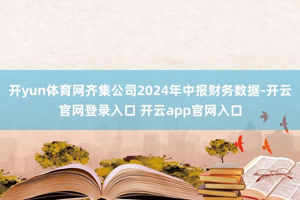 开yun体育网齐集公司2024年中报财务数据-开云官网登录入口 开云app官网入口