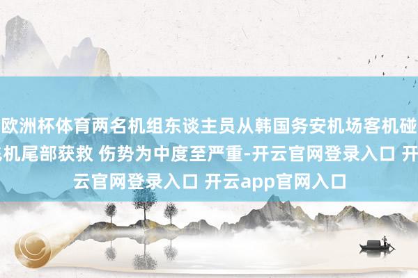 欧洲杯体育两名机组东谈主员从韩国务安机场客机碰撞发火事故的飞机尾部获救 伤势为中度至严重-开云官网登录入口 开云app官网入口