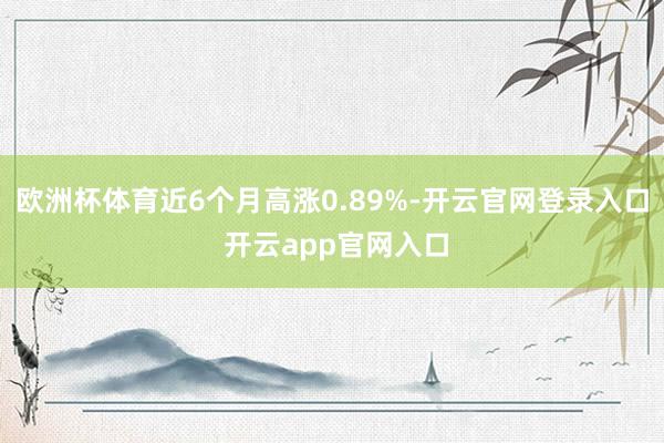 欧洲杯体育近6个月高涨0.89%-开云官网登录入口 开云app官网入口