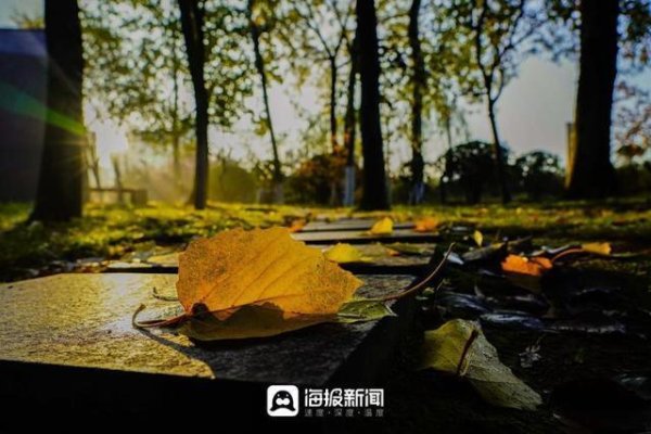 开云体育众拍丨失业游玩好去向：星河公园秋色醉东说念主-开云官网登录入口 开云app官网入口