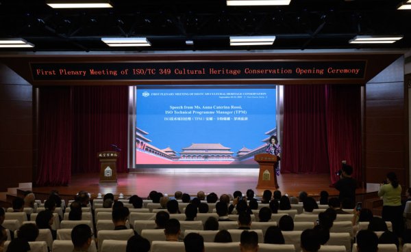 体育游戏app平台馆藏文物防震规范编制见识自2008年建议-开云官网登录入口 开云app官网入口